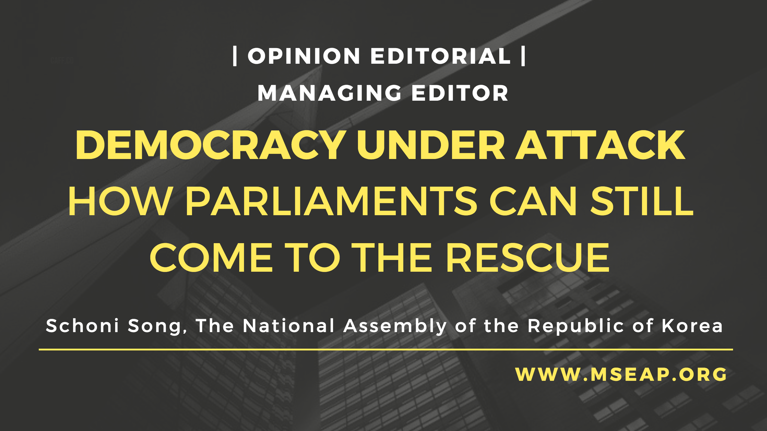 [Opinion Editorial] Democracy under attack: how parliaments can still come to the rescue