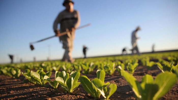 [May 4] Greece opens borders to Albanians for seasonal workers