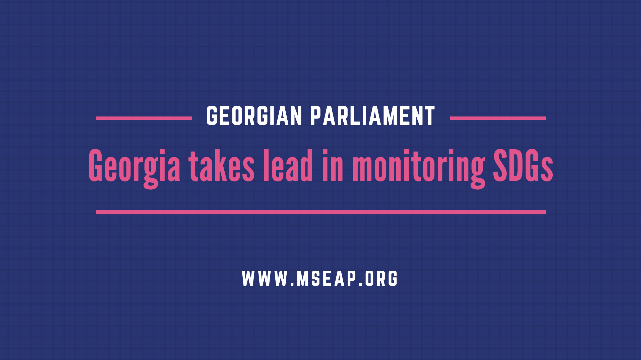 Georgian Parliament takes a lead in monitoring SDGs