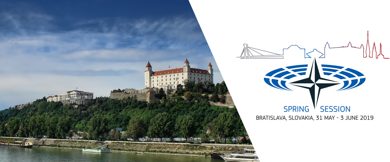 NATO Parliamentary Assembly, Spring Session - Bratislava, Slovakia