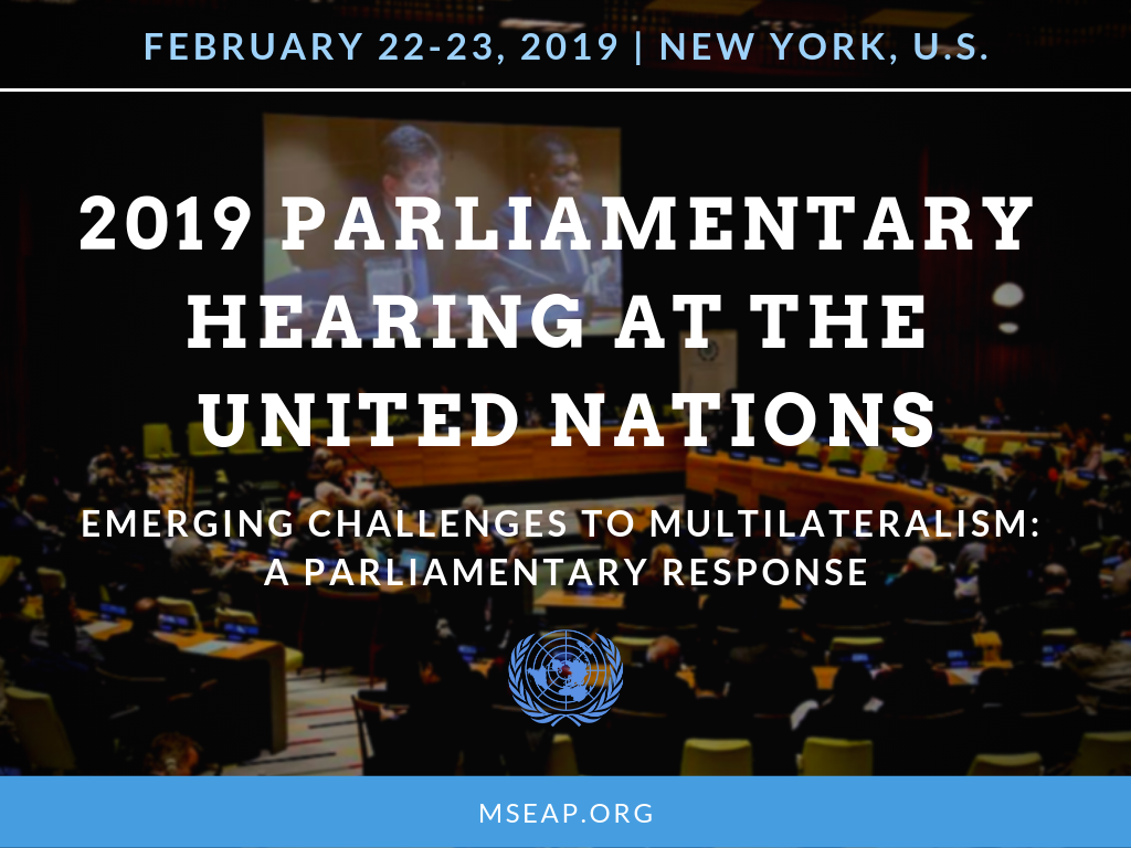 2019 Annual Parliamentary Hearing at the United Nations